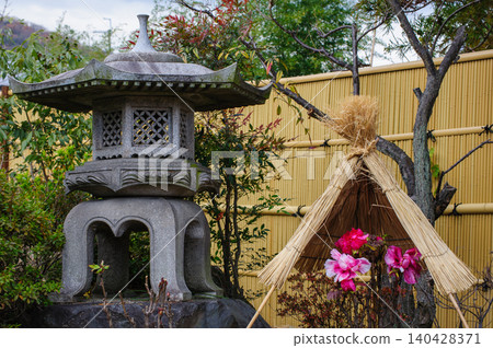 冬牡丹和稻草柵欄 冬牡丹和稻草柵欄 140428371