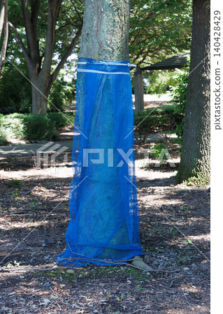 Nets to protect trees from invasive species 140428429