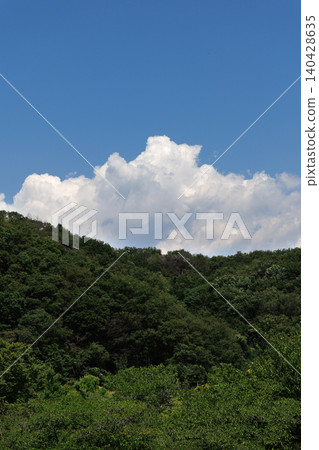 夏日的天空 夏日的天空 140428635