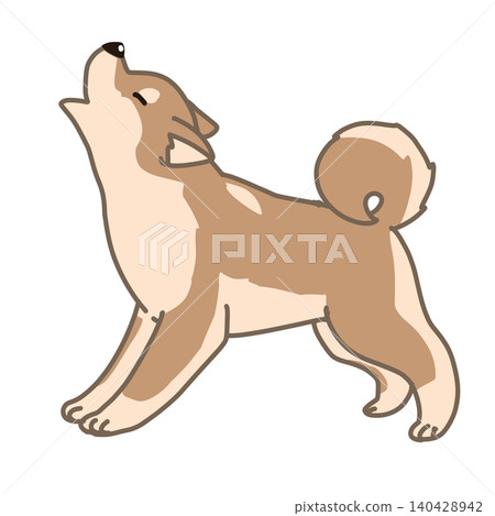 一幅胖胖的柴犬嚎叫的插圖 一幅胖胖的柴犬嚎叫的插圖 140428942