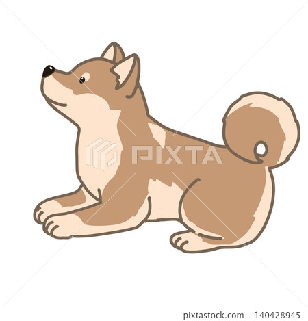 一隻胖胖的柴犬躺著的插圖 一隻胖胖的柴犬躺著的插圖 140428945