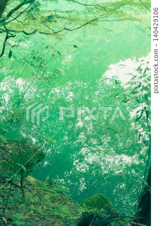 Trees reflected on the surface of Lake Shiromaru in Okutama, Japan (vertical orientation) Trees reflected on the surface of Lake Shiromaru in Okutama, Japan (vertical orientation) 140429106