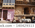 The streets of India 140429313