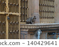 cat sitting on the roof 140429641