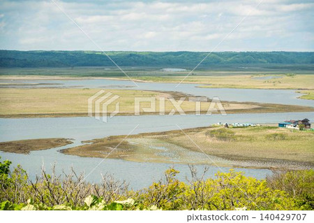 Raised bog Raised bog 140429707