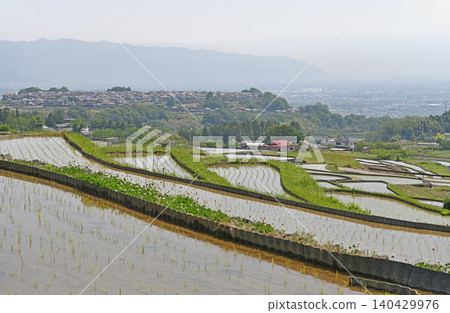 Hiraoka Rice Terraces: Beautifully sloping rice paddies and a peaceful village stretching out in the distance. 140429976