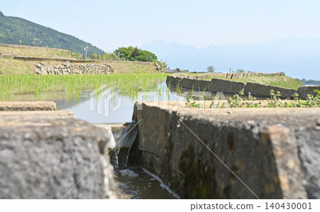 Hiraoka Rice Terraces: Clear water from the irrigation channels and fresh green young rice seedlings. 140430001