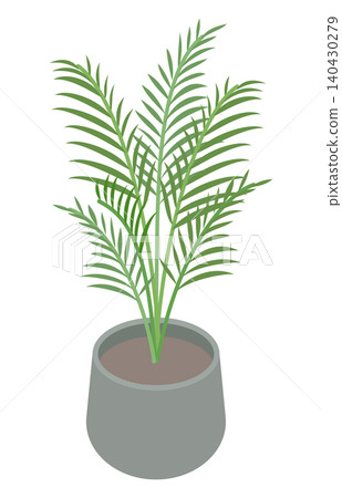 Isometric illustration: Houseplant (Areca palm) Isometric illustration: Houseplant (Areca palm) 140430279