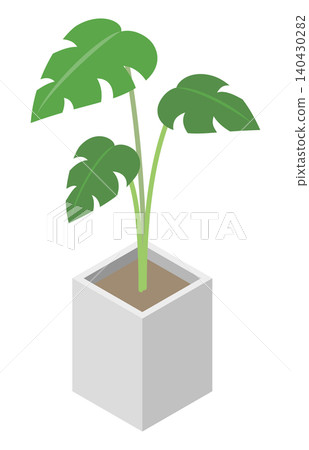 Isometric illustration: Houseplant (Monstera) Isometric illustration: Houseplant (Monstera) 140430282
