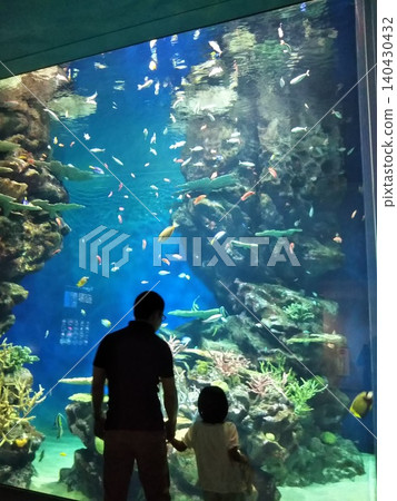 一位家長和孩子（從背後）仰望水族館裡的大魚缸。 140430432