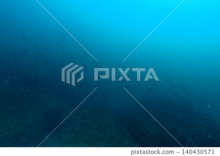 Diver swimming on a coral reef Diver swimming on a coral reef 140430571