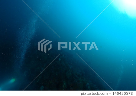潛水員在珊瑚礁上游泳 潛水員在珊瑚礁上游泳 140430578