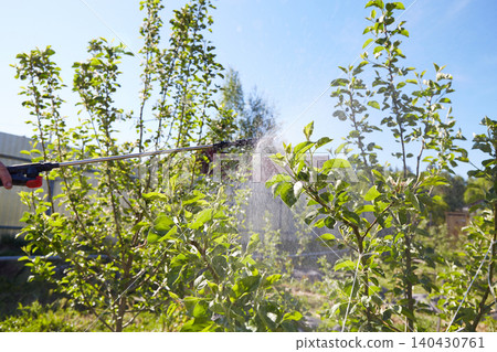 Spraying the branches of a fruit tree under bright sunlight, aimed at protecting plants from pests and diseases 140430761