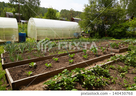 Well-organized vegetable garden with raised beds and greenhouses, featuring various crops at early growth stages Well-organized vegetable garden with raised beds and greenhouses, featuring various crops at early growth stages 140430768