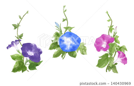 一組以牽牛花為主題的插圖,為夏天增添了色彩,並帶有半透明的手繪水彩效果。 一組以牽牛花為主題的插圖,為夏天增添了色彩,並帶有半透明的手繪水彩效果。 140430969