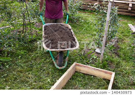 A man is wheeling a load of soil through a garden. Rows of plants grow nearby 140430973