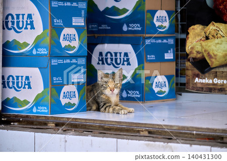 A cat sleeping in the gaps between supplies at a convenience store. 140431300