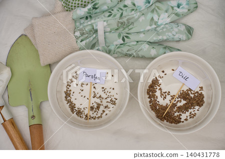 Parsley and dill seeds are sorted in labeled bowls beside gloves and hand tools on work surface Parsley and dill seeds are sorted in labeled bowls beside gloves and hand tools on work surface 140431778