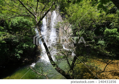 ◇Nunobiki Falls "Gohonmatsu Kakure Falls" / One of Japan's Three Great Sacred Waterfalls [Chuo Ward, Kobe City] 140431856