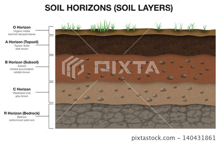 Educational science infographic diagram of soil horizons, showing cross section profile with technical labels of organic matter, topsoil, subsoil, weathered rock, and bedrock layer Educational science infographic diagram of soil horizons, showing cross section profile with technical labels of organic matter, topsoil, subsoil, weathered rock, and bedrock layer 140431861