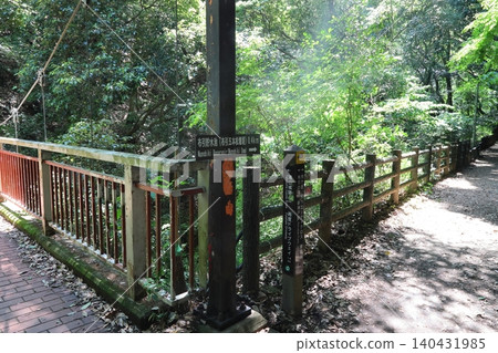 ◇Nunobiki Falls "Scenery from the hiking trail" / One of Japan's three great sacred waterfalls [Chuo Ward, Kobe City] 140431985
