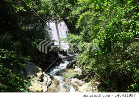 ◇Nunobiki Falls "Scenery from the hiking trail" / One of Japan's three great sacred waterfalls [Chuo Ward, Kobe City] 140431997