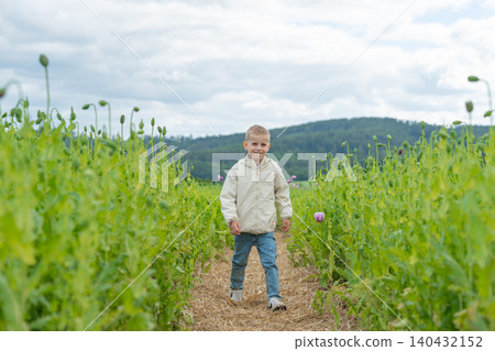 A cute little boy walking forward on a narrow dirt path through a vast green poppy field in summer. Great conceptual photo for journey, personal growth, childhood exploration, and eco-tourism A cute little boy walking forward on a narrow dirt path through a vast green poppy field in summer. Great conceptual photo for journey, personal growth, childhood exploration, and eco-tourism 140432152