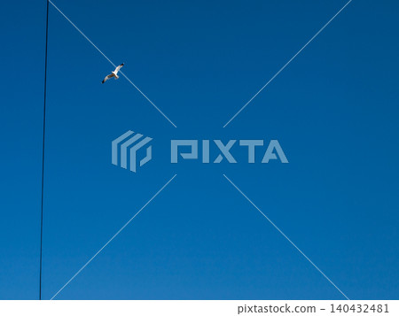Seagull flying near lonely wire in clear sky as abstract concept of boundary and freedom 140432481