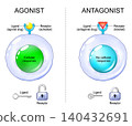 Antagonist or Agonist comparison and mechanism of action. Ligand, Receptor interaction and Cellular response. 140432691