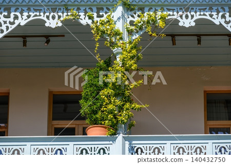 Ornate balcony with potted climbing plant Ornate balcony with potted climbing plant 140432750