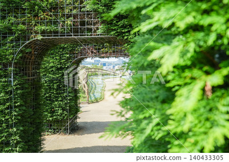 A tranquil garden path lined with green arches. 140433305