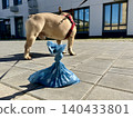 Bags for pet excrement on the background of a French bulldog dog. High quality photos. High quality photo 140433801