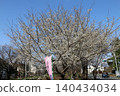 Oshima cherry blossoms signal the arrival of cherry blossom season. 140434034