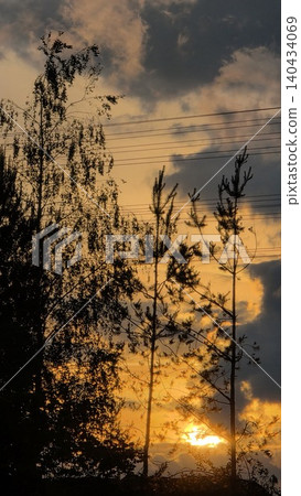 Silhouettes of tall trees and power lines against bright orange sunset sky with dramatic dark cumulus clouds, atmosphere of tranquil evening nature and twilight 140434069