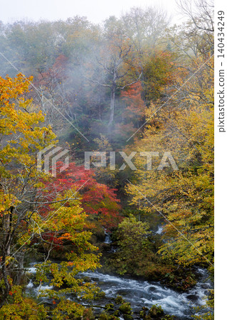 Autumn leaves of Takimi Bridge Autumn leaves of Takimi Bridge 140434249