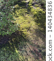 Garden 140434836
