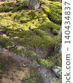 Moss garden 140434837