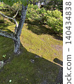 Moss garden 140434838