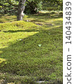 Moss garden 140434839