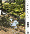 Mossy garden 140434840