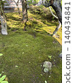 Mossy garden 140434841