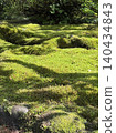 Moss garden 140434843