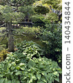 Green garden 140434844