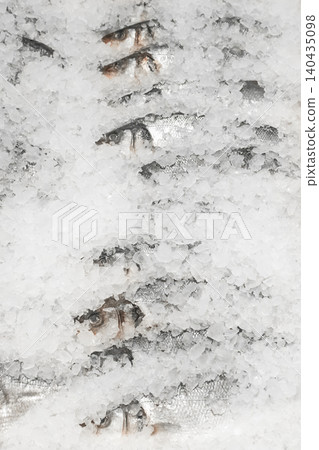 Raw frozen fish cold ice fresh seafood supermarket counter sea food Raw frozen fish cold ice fresh seafood supermarket counter sea food 140435098
