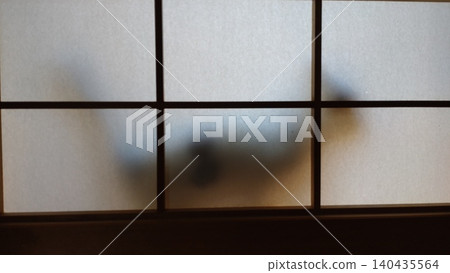 The cat on the other side of the shoji screen 140435564