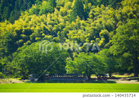 A local train running through fresh greenery A local train running through fresh greenery 140435714