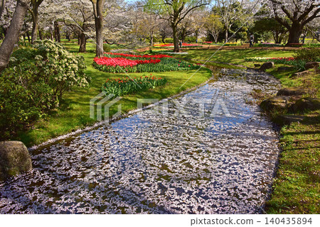 春天裡鬱金香和漂浮花朵的景象。 春天裡鬱金香和漂浮花朵的景象。 140435894