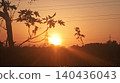 sunset in the forest 140436043