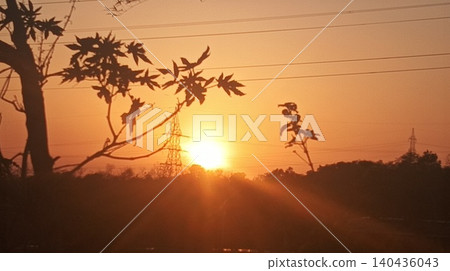 sunset in the forest 140436043