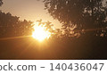silhouette of tree on the beach 140436047